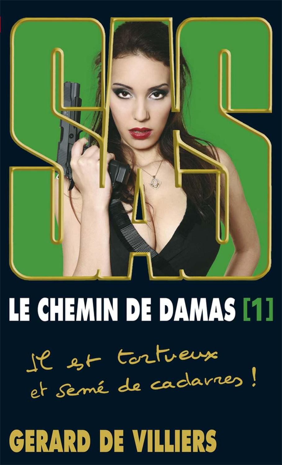 SAS 193 - Le chemin de Damas 1
