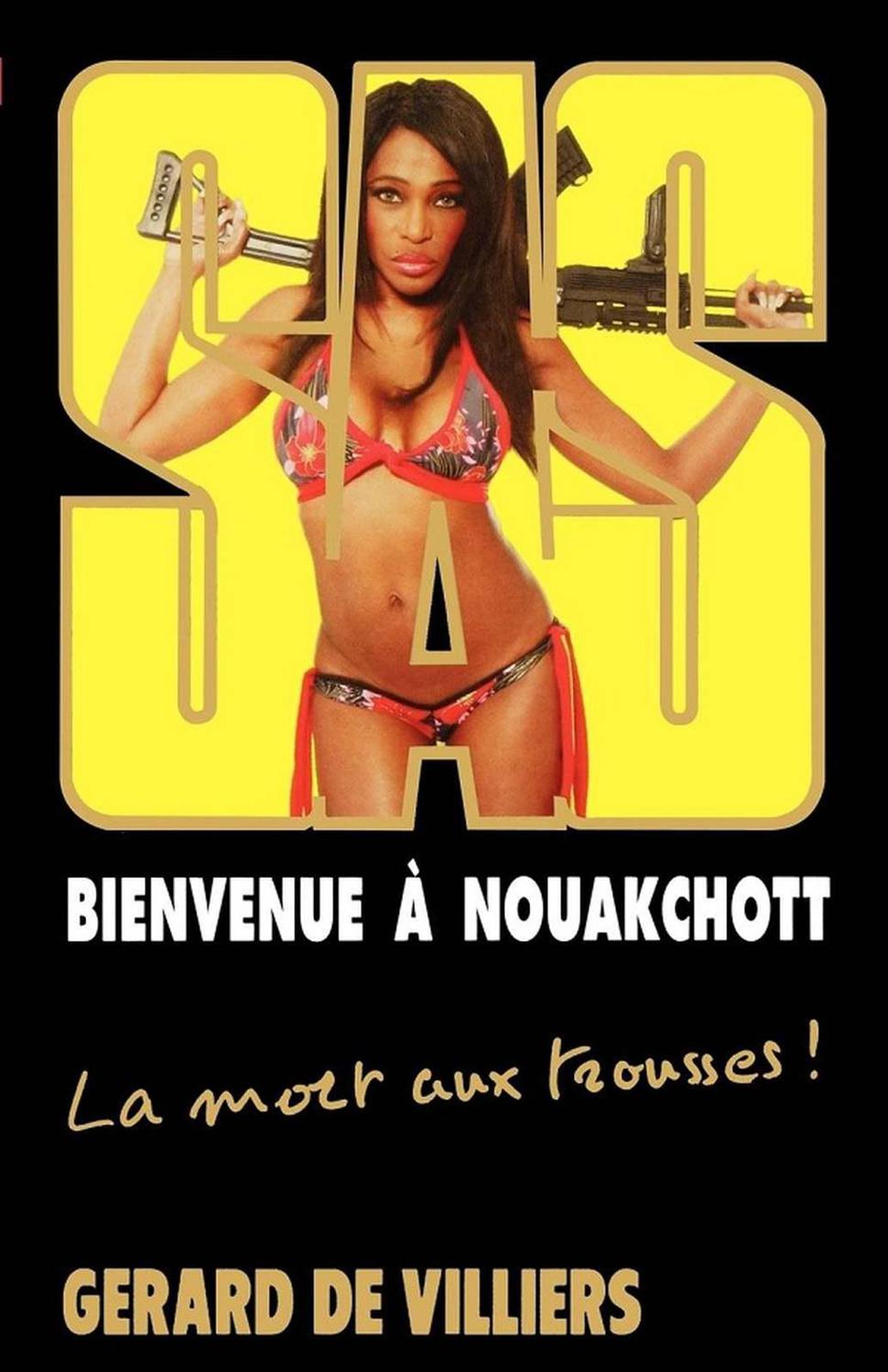 SAS 187 - Bienvenue à Nouakchott