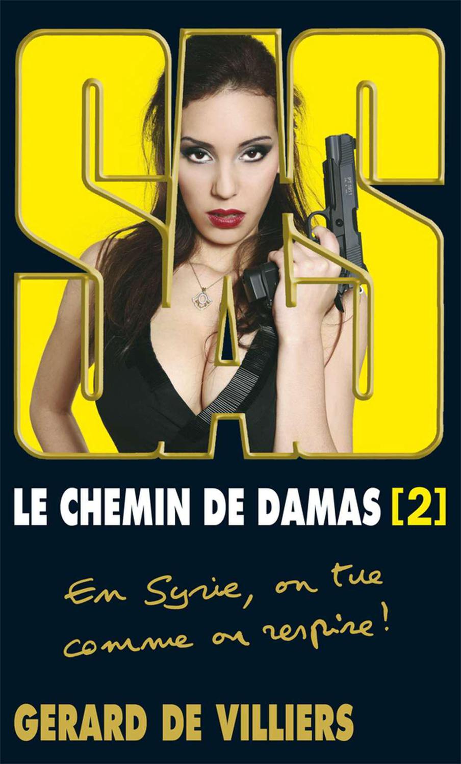 SAS 194 - Le chemin de Damas 2