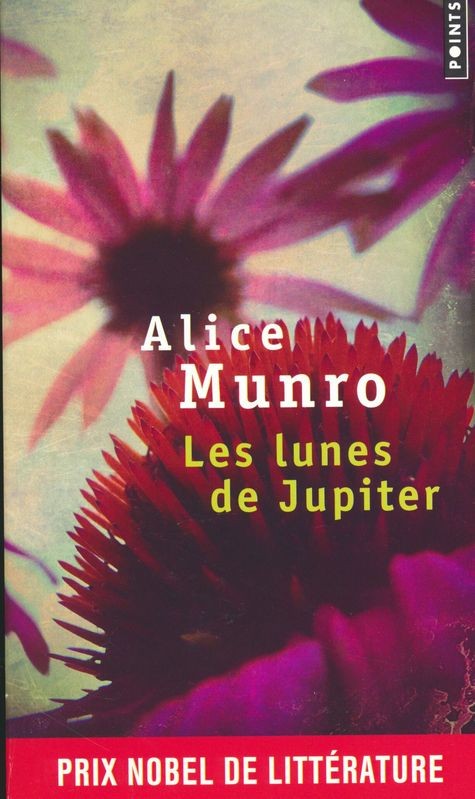 Les Lunes De Jupiter