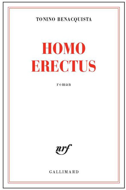 Homo erectus
