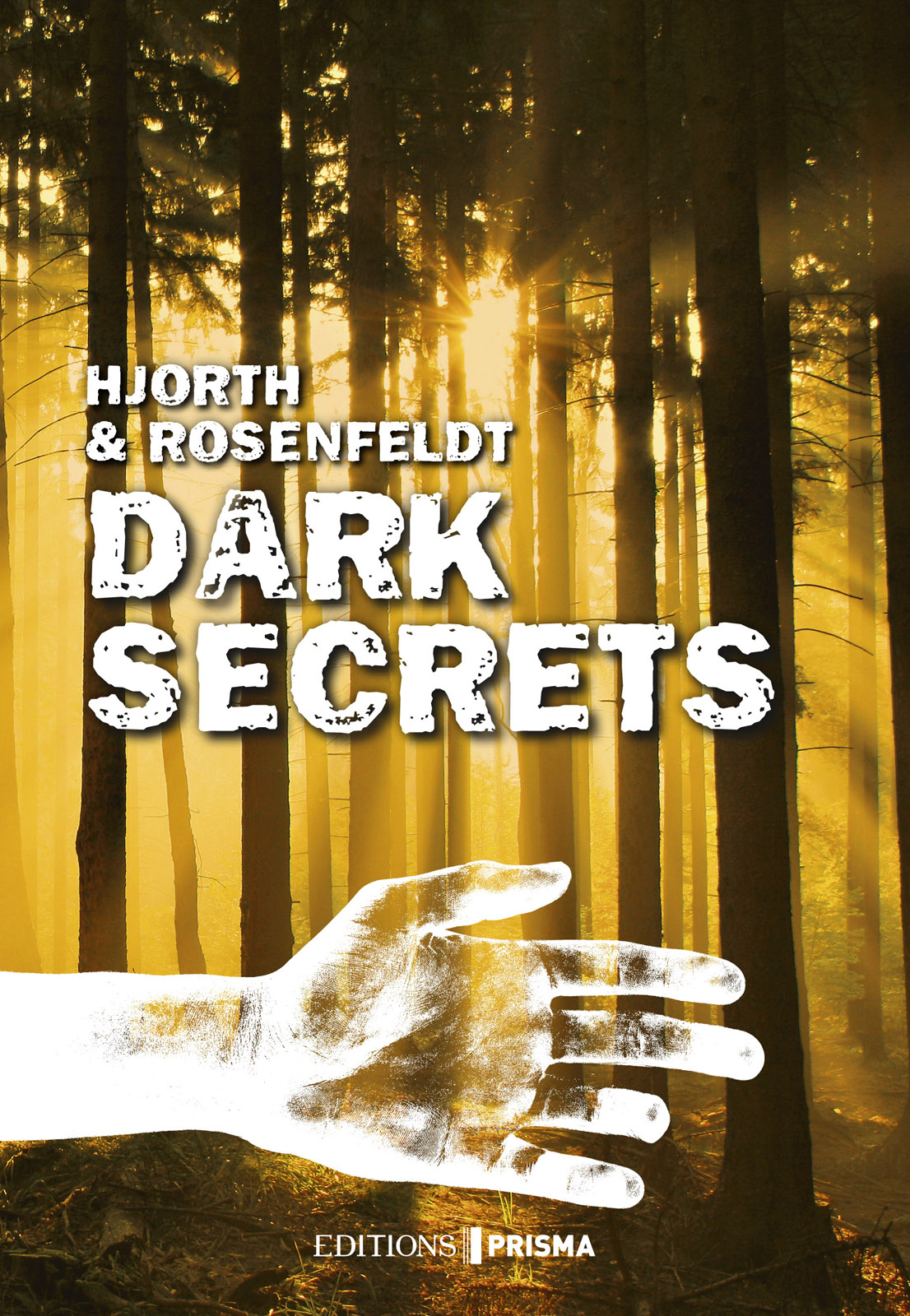 Sebastian Bergman 1 - Dark secrets