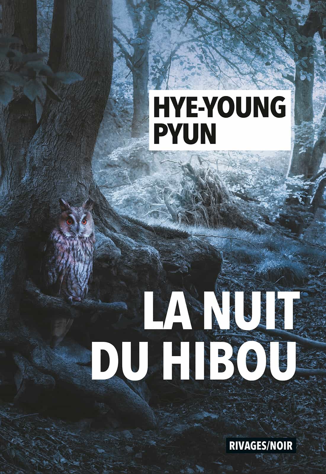 La nuit du hibou