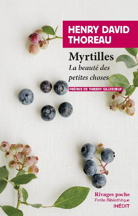 Myrtilles - La beauté des petites choses