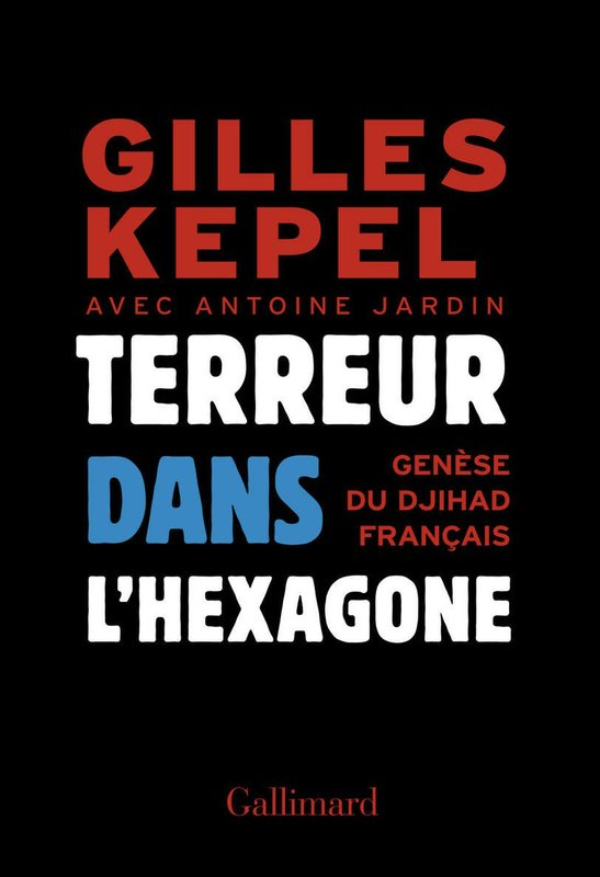 Terreur dans l'Hexagone. Genèse du djihad français (Hors série Connaissance) (French Edition)