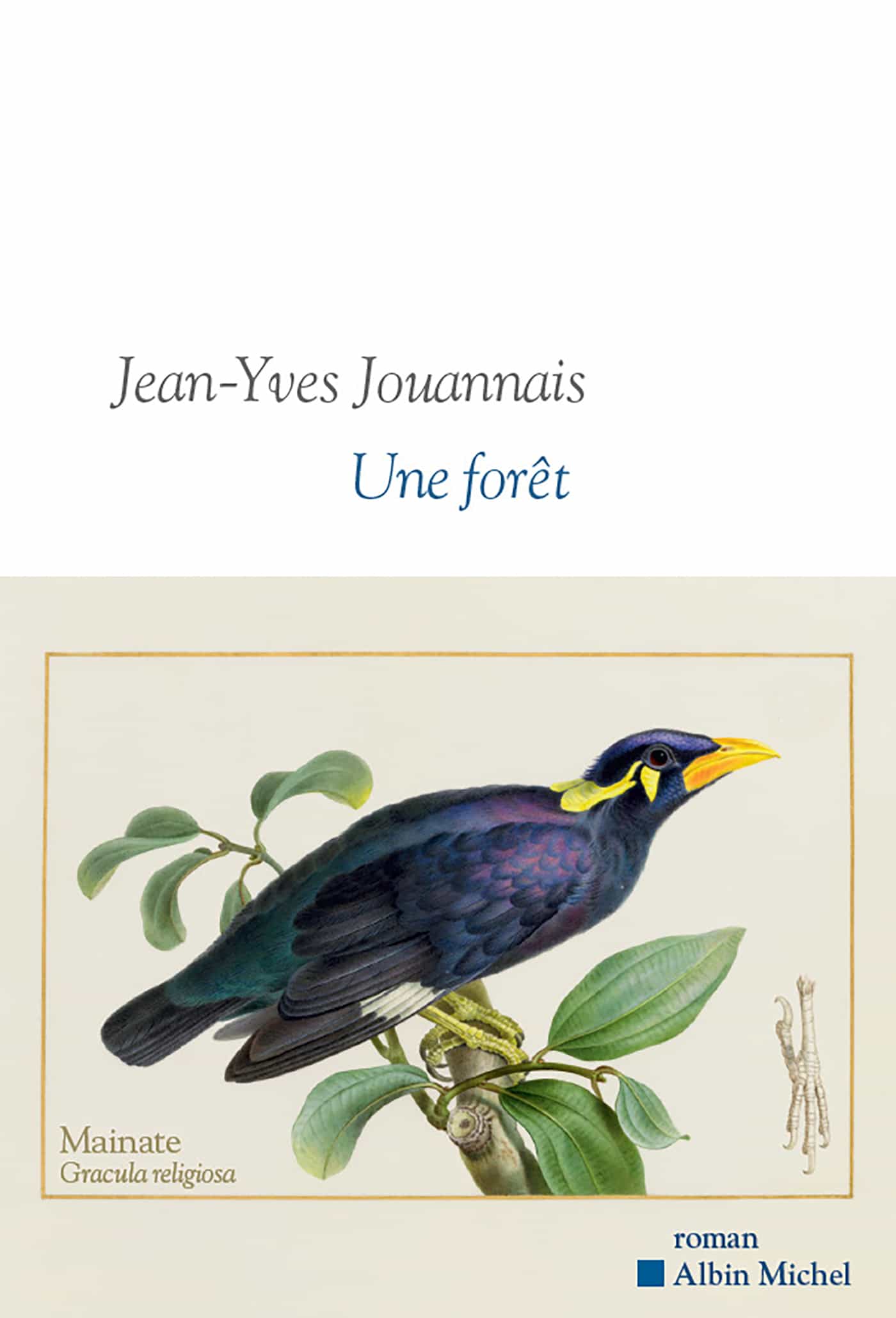 Une forêt